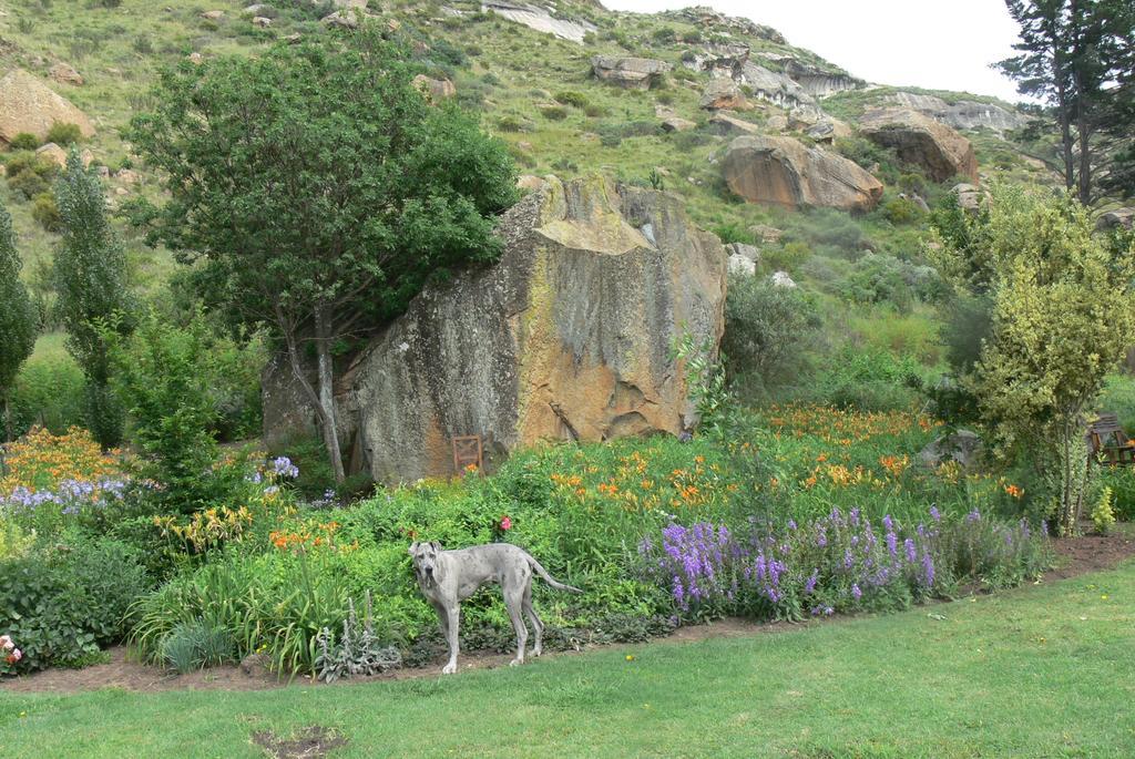 Aspen Guest House Clarens Exterior foto